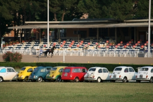 500 e cavalli