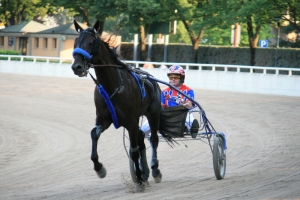 Cavallo in allenamento