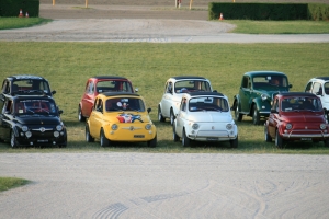 Fiat 500 in mostra