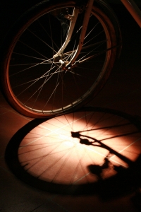 dinamo ruota
