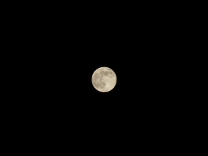 luna piena