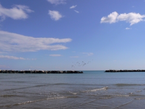 Mare