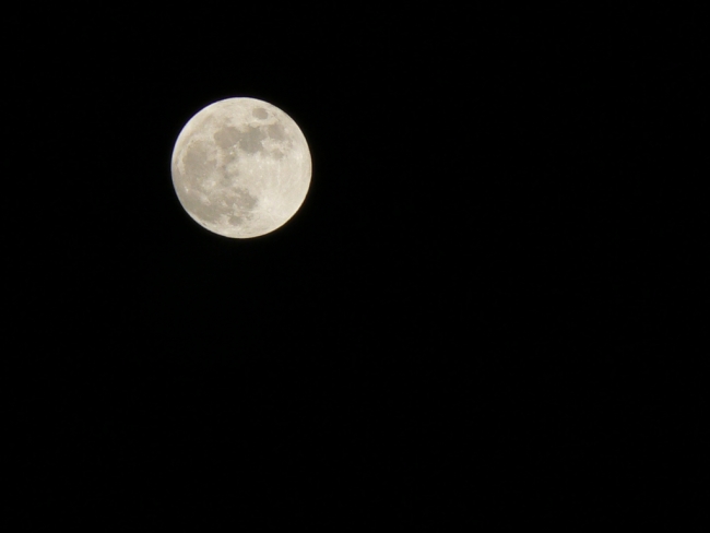 Luna piena