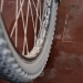 mtb