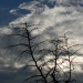 cielo nuvoloso