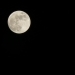 Luna piena