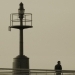 Faro