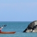 Mare canoa