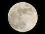 Foto Luna